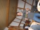Thumbs/tn_20070721_0112.jpg